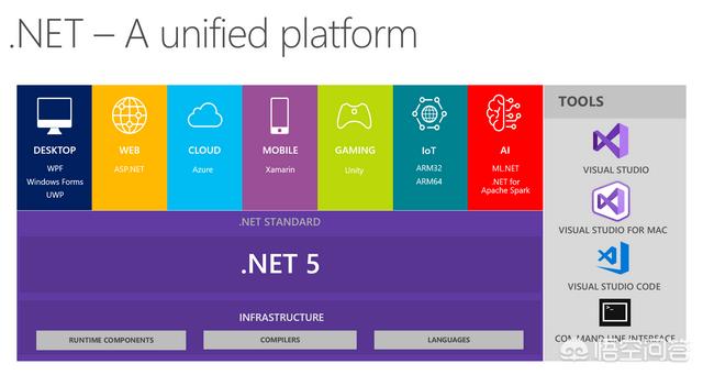 Build 2019都有哪些新内容