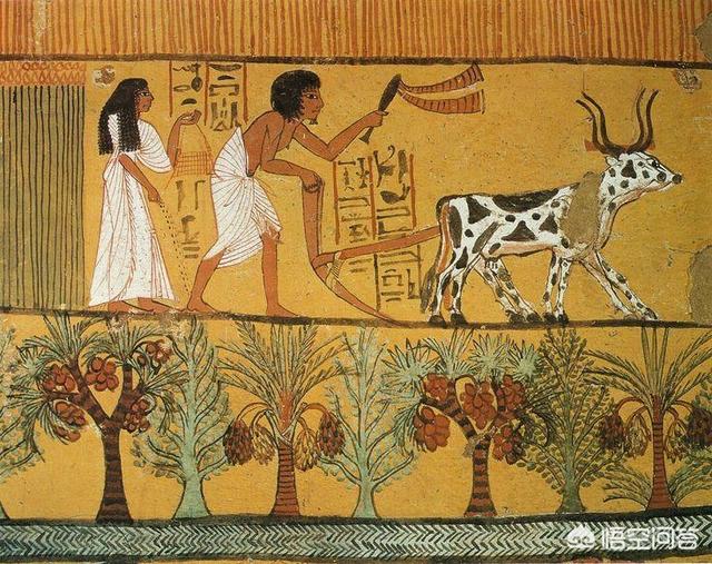 古埃及人后裔:中国人是古代埃及人的后裔吗