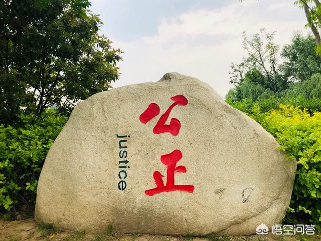 办公室有个绿茶女,老爱抢你的胜利果实,你会咋办？