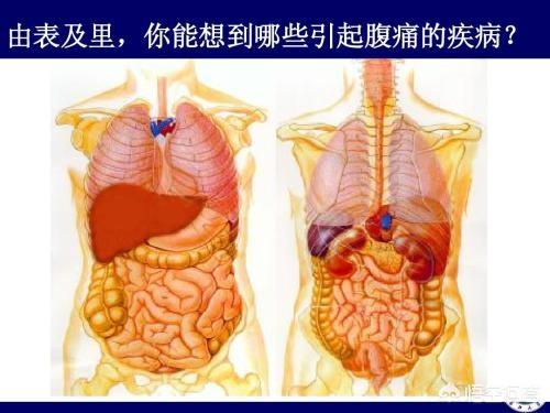 急性腹膜炎腹痛的特点:急性肠胃炎腹痛一阵一阵的是为何 儿童急性腹痛有哪些特点？