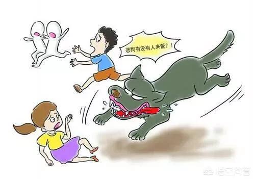 宠物产业:宠物产品市场分析 宠物行业未来会面临怎样的难题？