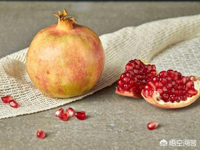 郑州马拉弯:郑州有什么免费的一日游景点有哪些古迹