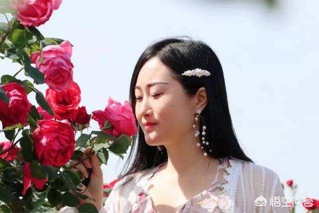 月季花栽培技术教程:月季种子怎么种可以发芽长出？
