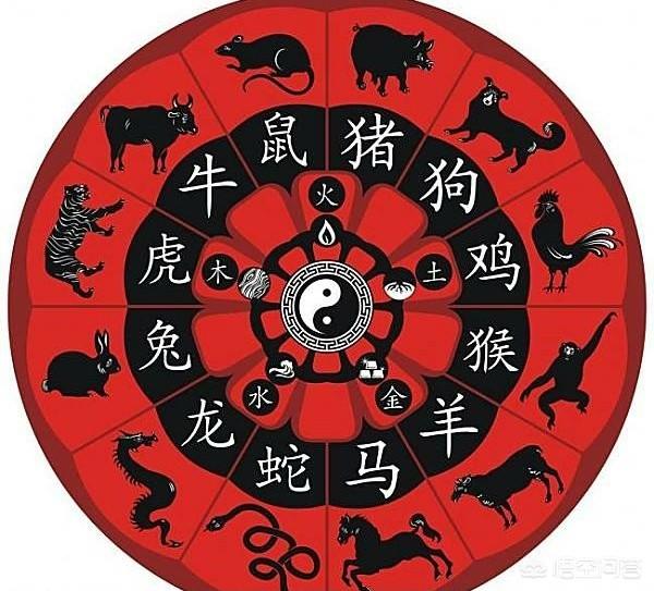 12生肖是怎么定义的？龙到底存不存在？