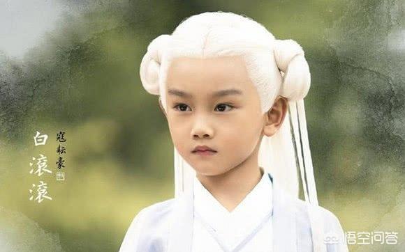 白滚滚第几集出生:《三生三世枕上书》白凤九的儿子为什么叫白滚滚？