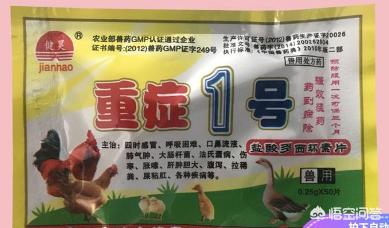 鹅两边腮大是什么原因？