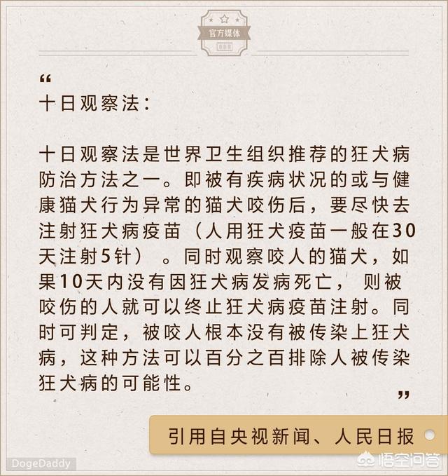 蝙蝠狂犬病的潜伏期:如果狗刚感染狂犬病毒，没发作，唾液里会含有狂犬病病毒吗？