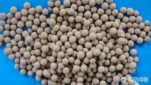 花土里加火山石:盆栽花卉底部垫上陶粒有什么好处和弊端？