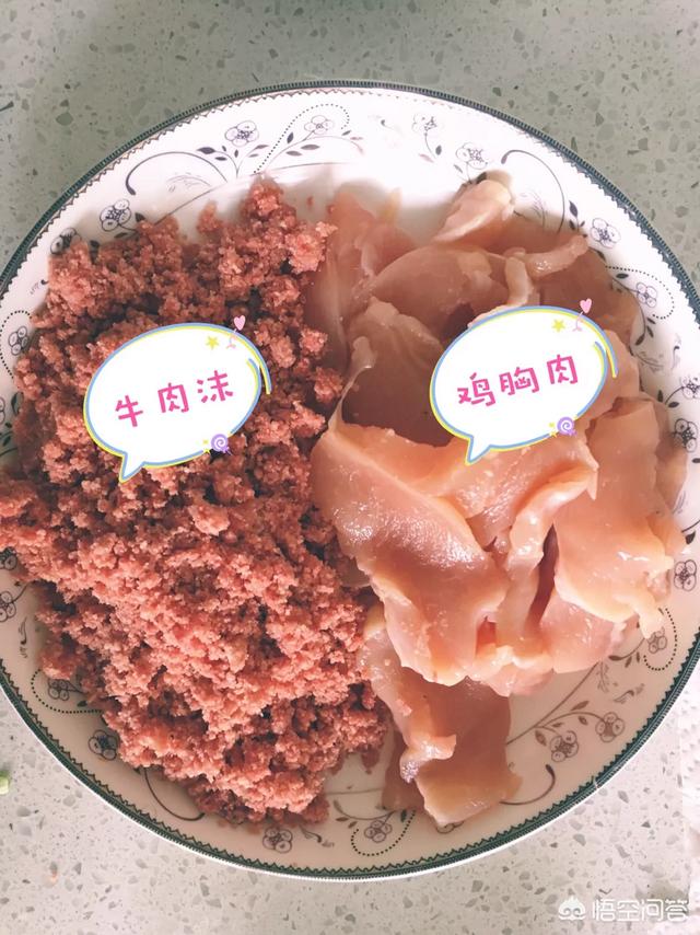 柯基犬图片:柯基成年后吃饭变少变慢了，怎么办？