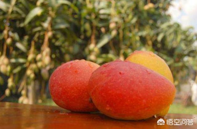 芒果的价格会越来越低吗，今年广西农村的早市芒果卖到4元多一斤，后期会不会更贵