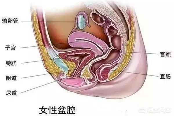 头条问答 - 盆腔积液和宫腔积液,有什么区别?(3个回答)