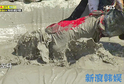 为什么总觉得同一个性质的综艺，韩国的比中国的要好看