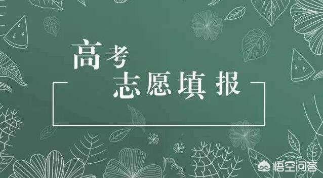 高考后，如何填报志愿呢，学校怎么选呢？