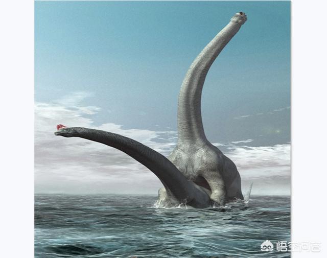 为什么陆地上恐龙那么大,而海里的反不及蓝鲸大呢?