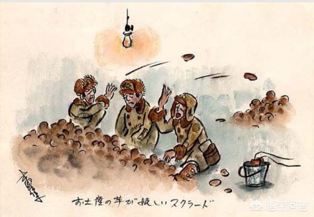 西伯利亚森林猫舍:60万日军俘虏去西伯利亚挖土豆，10年后为什么只回来50万？ Geniegoo西伯利亚森林猫舍