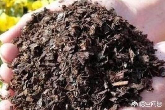 如何制作花肥(花肥的制作最简单方法大全)