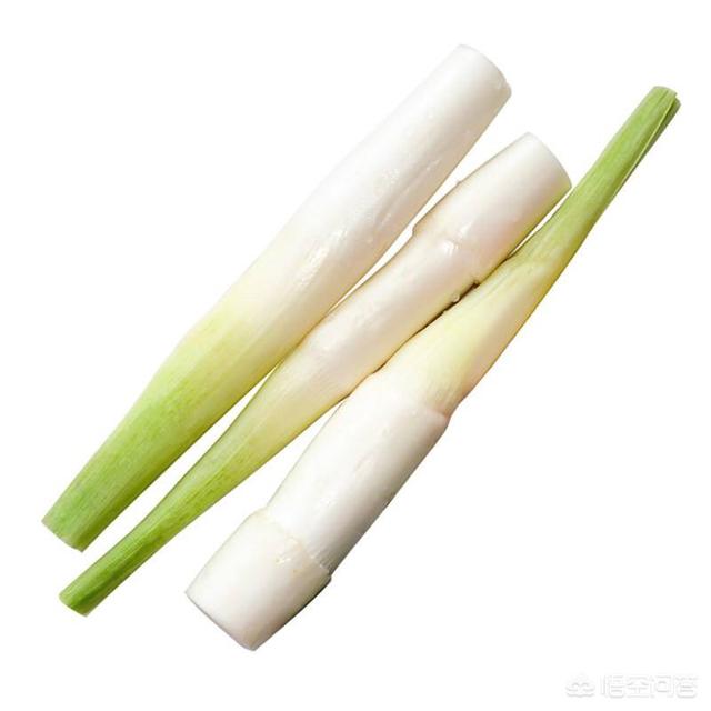 头条问答 - 小白菜和藕就着高瓜能混合吃吗?(3个回答)