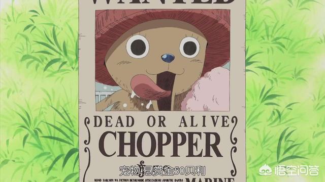 海贼王 中都说萨博有大将实力 为何尾田周年庆公布的萨博悬赏令那么低 头条问答