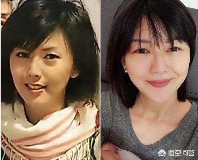 章子怡近况:近日章子怡疑似怀孕了，你不知道的章子怡到底有多优秀