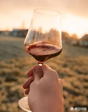 红酒杯的正确拿法，葡萄酒礼仪，如何正确拿起一杯葡萄酒