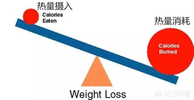 薄荷<a href=https://maguai.com/list/56-0-0.html target=_blank class=infotextkey>健康</a>减肥群:尹正开始减肥了！减肥第一天连发十条动态，到底对减肥有多怨念？
