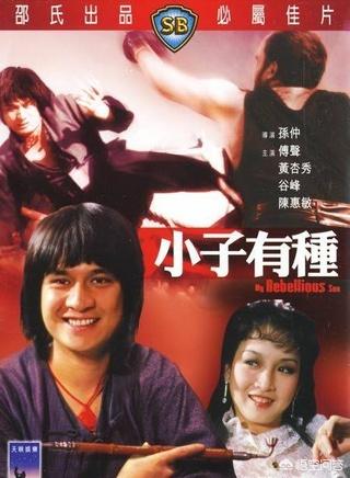 黄杏秀老公:黄杏秀演过的电视剧电影？
