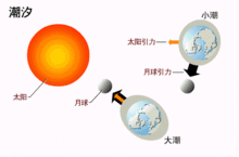 涨潮退潮,大海为什么晚上涨潮早上退潮？