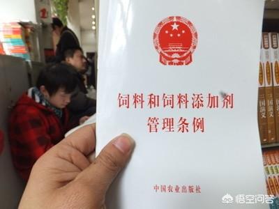 养殖狐狸饲料:宠物狐狸吃什么？臭不臭？好不好养？