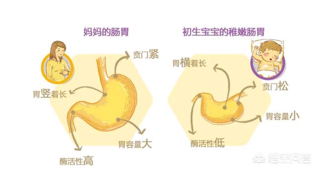 布谷bugu重磅发布多款新品:你手机里有哪些逆天的app？