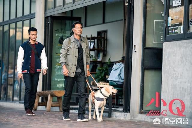 导导肓犬小q电影:导盲犬小q电影中文完整版 如何评价任达华、梁咏琪主演的导盲犬电影《小Q》？