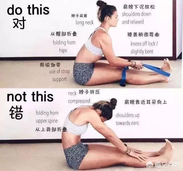 瑜伽狗:自学瑜伽，哪些动作容易练错？ 瑜伽狗头像