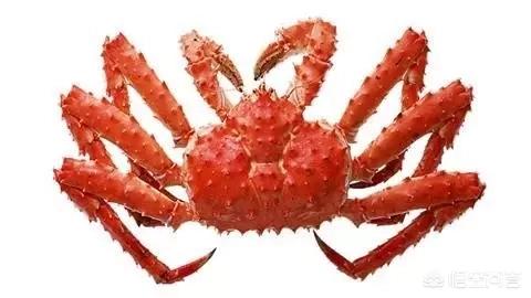 头条问答 为什么帝王蟹不是螃蟹 苏蟹阁的回答 0赞