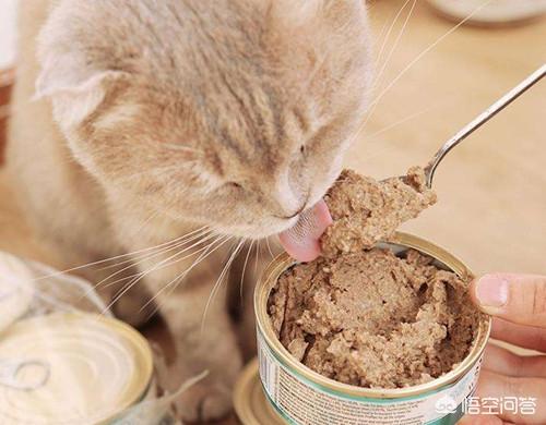 猫罐头:猫咪适合吃罐头类食品吗？为什么？