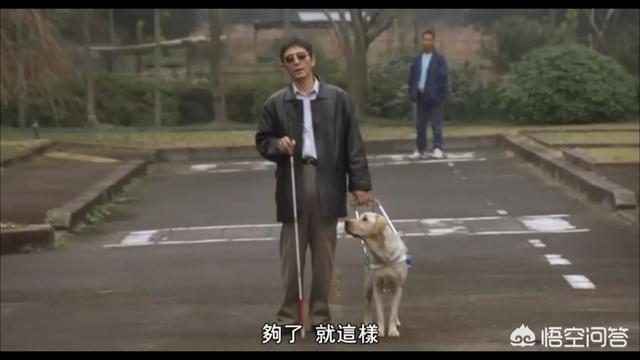 导盲犬小q粤语百度云:如何评价日本电影《导盲犬小Q》？ 导盲犬小q国语版百度云