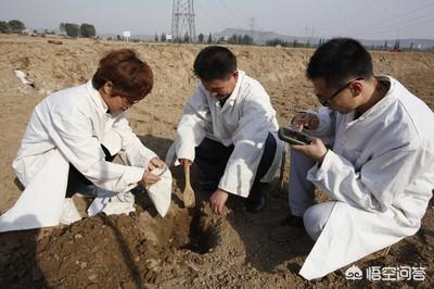 青苔怎么快速清除,如何迅速去除土壤青苔和红锈？