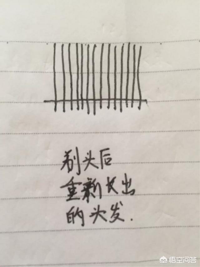 胎毛:新生儿胎毛要不要剃，如何科学的剃？