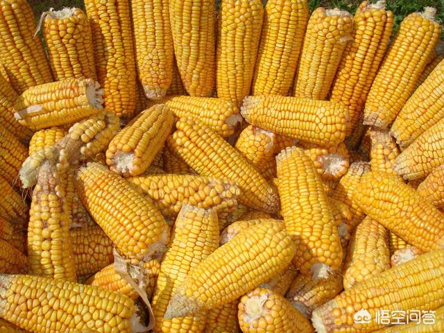 康熙年间:康熙年间人口一千九百万，为何到乾隆年间就增加到了三亿多？