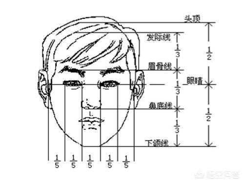 人物头像素描时如何准确画出三庭五眼的位置
