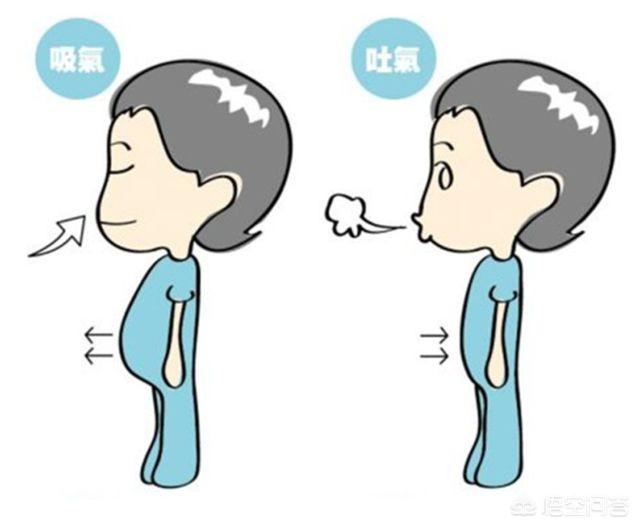 深呼吸时是收腹还是挺腹？对健康有益吗？