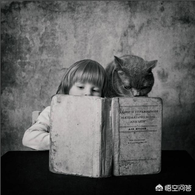 发<a href=https://maguai.com/list/256-0-0.html target=_blank class=infotextkey>朋友圈</a>微丧的句子:有没有一些让人感觉很丧的句子？(很丧 很文艺的句子)