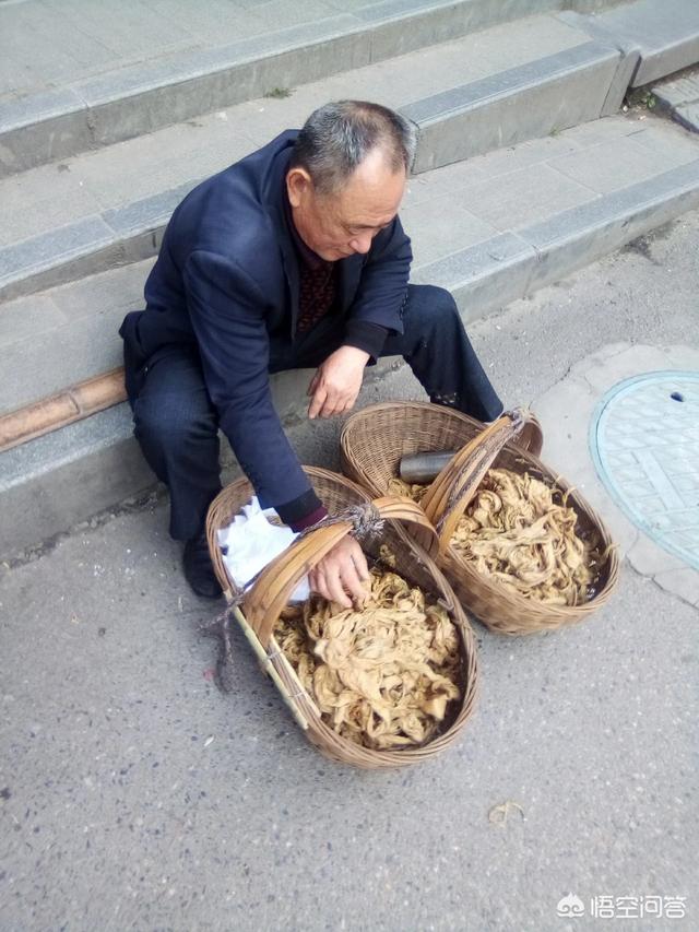 为什么没人敢碰何鸿燊:为什么现在很多人对家里的老人都感到很反感