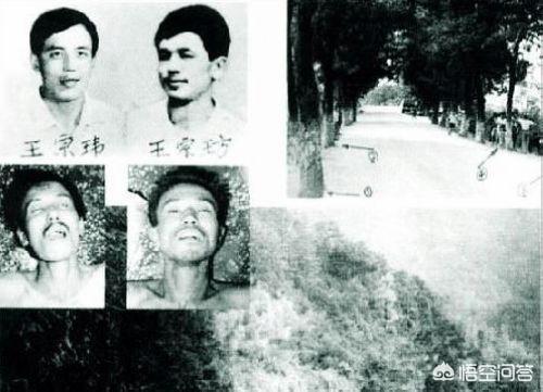 东北二王事件:俗话说“东北虎，保定狼”，这其中有什么典故吗