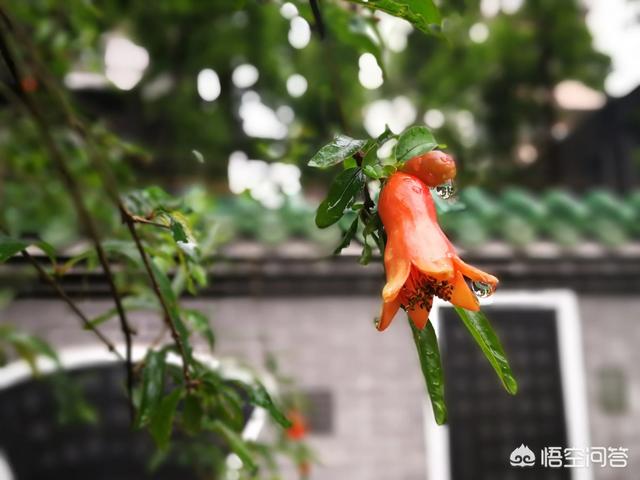 天蝎男能挽回吗:天蝎男分手后说做朋友能和好吗？