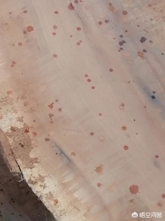 枣木防裂、防变形的处理方法有哪些？插图14