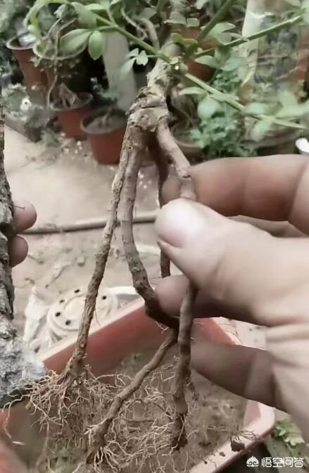 原石做摆件最好的处理方式,你对于原石和打磨是怎么看？