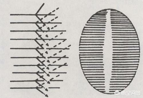 真正红宝石图片,所有的红宝石都有反射星光吗？
