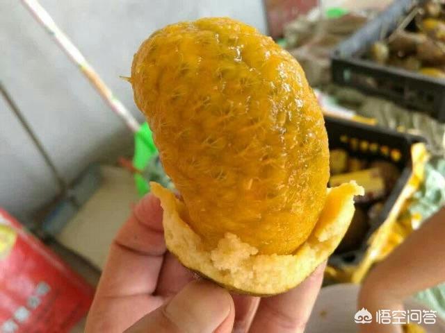 有哪些名字非常好听的水果品种(简单好听的水果微信名)