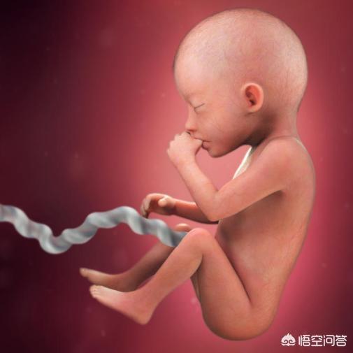 怀孕子宫炎症:造成母猪子宫炎的原因和治疗方法有哪些？