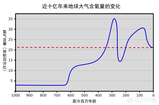 巨骆驼蜘蛛:为什么石炭纪会出现身长接近3米的巨型蜈蚣？真是太可怕了？