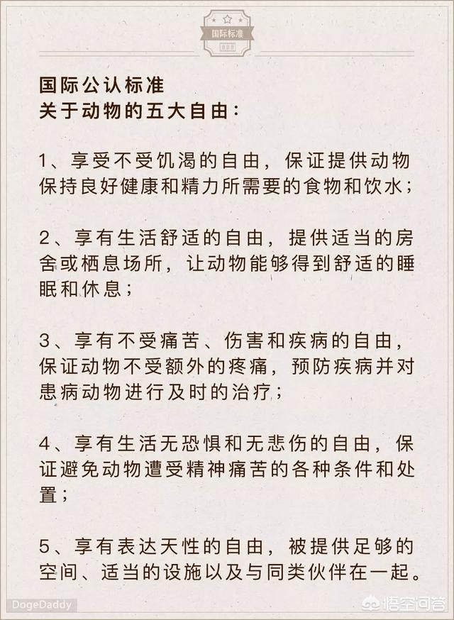 狗狗心事2 pdf:你觉得人和狗真的有感情吗？